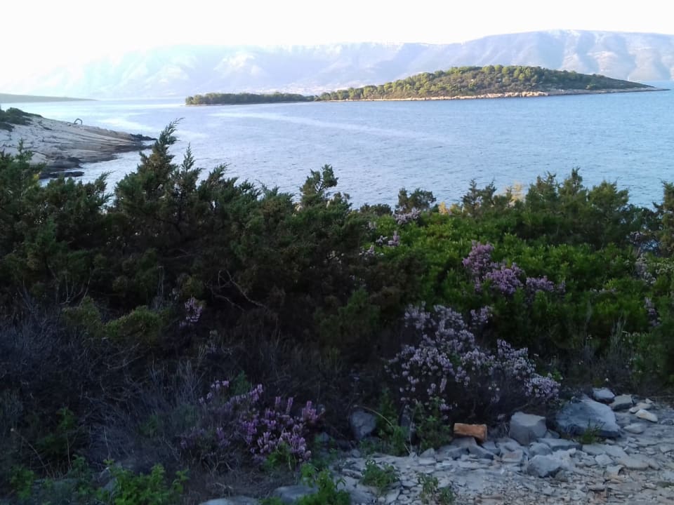 Ausblick Aminess Younique Senses Resort