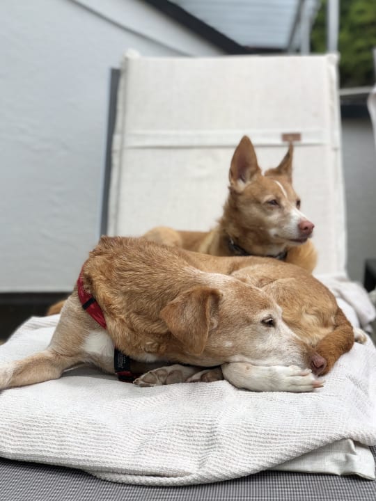 Sonstiges Hotel Klosterbräu & SPA