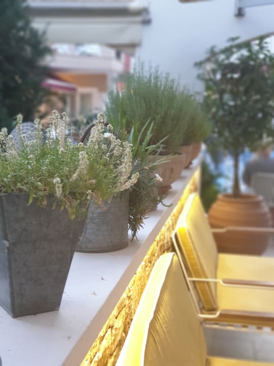 Gastro Evilion Sea & Sun Hotel