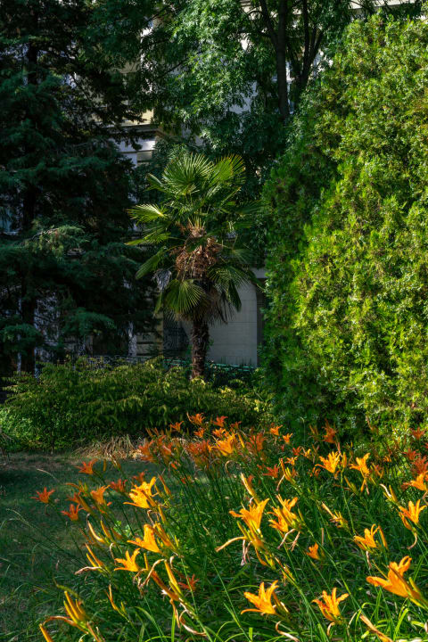 Gartenanlage Ensana Grand Margaret Island