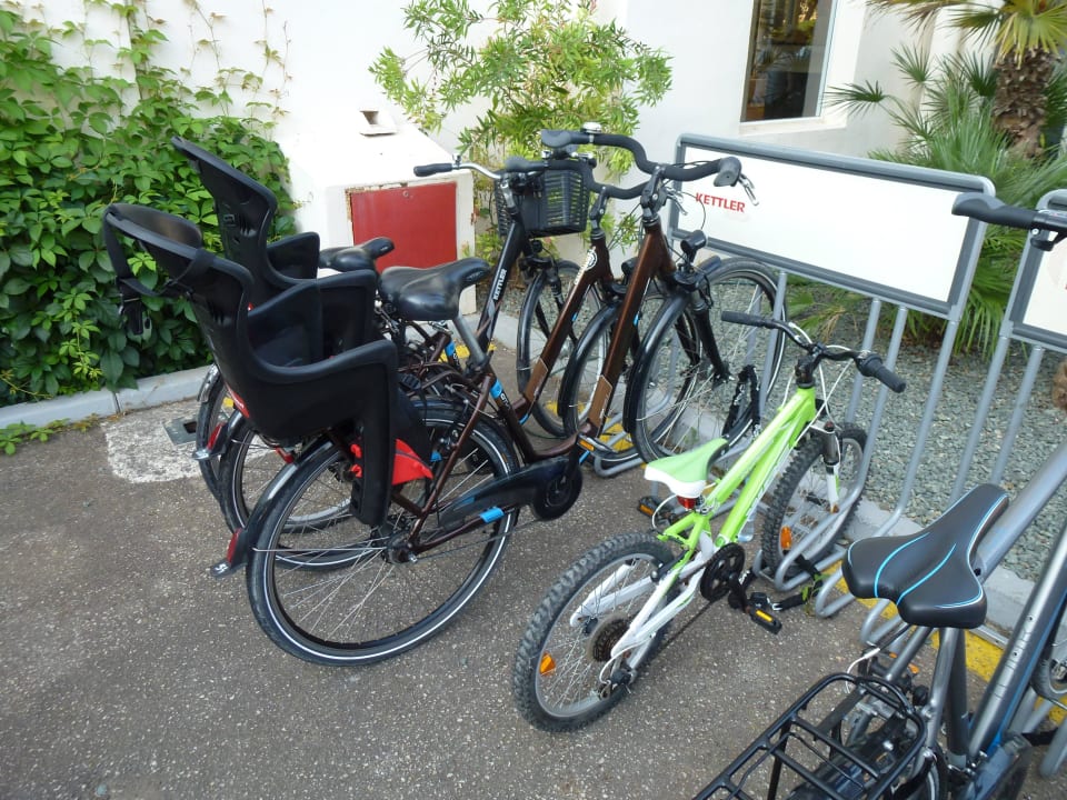 Einige Leihfahrräder des Hotels  Hotel Rosella by Intelier