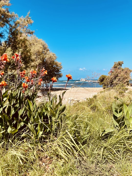 Ausblick Corissia Beach Hotel