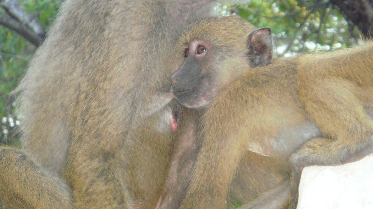 Мама и бебик Hotel Papillon Lagoon Reef