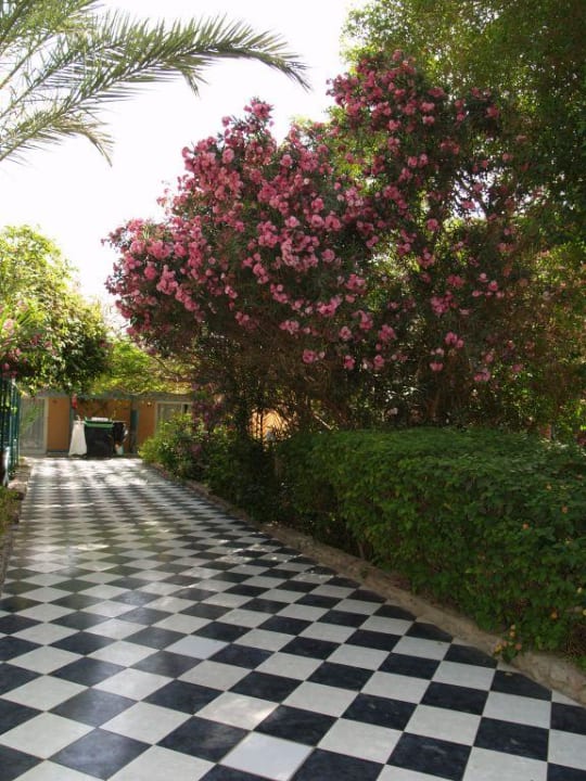 Gartenanlage Giftun Azur Resort