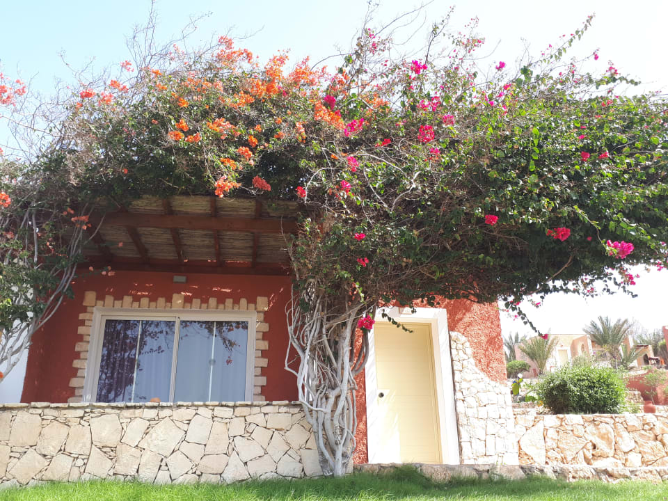 Gartenanlage Occidental Boa Vista Beach