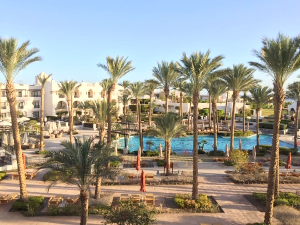 Pool Pickalbatros Palace Hotel-Port Ghalib