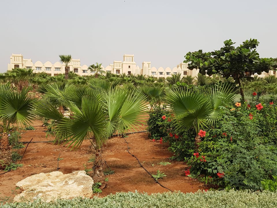 Palmengarten Hotel Riu Touareg