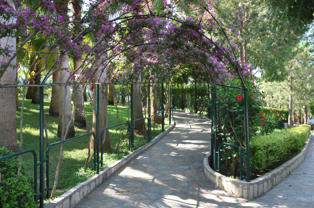 Aussenanlage Hotel Miramare Beach