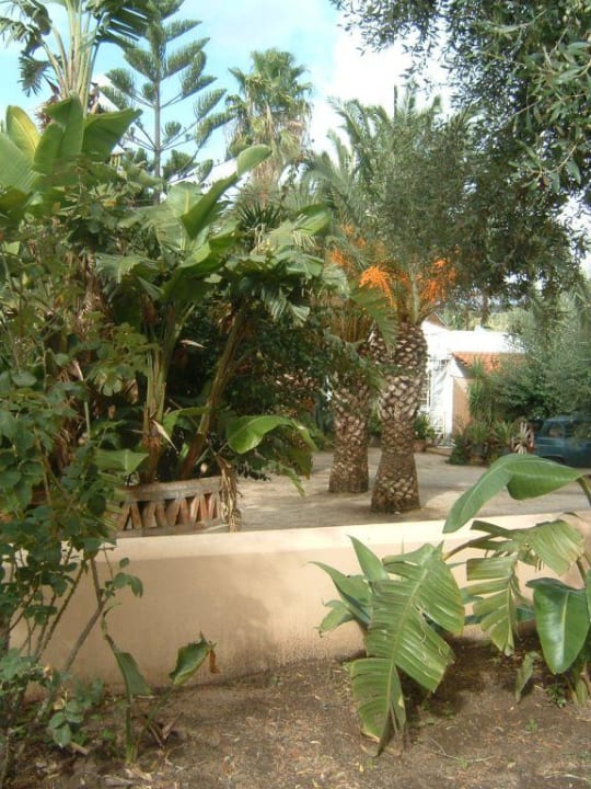 Hotel Hotel Costa degli Dei