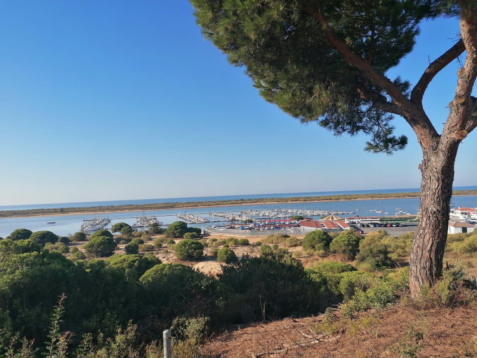 Pool Garden Playanatural - Adults only