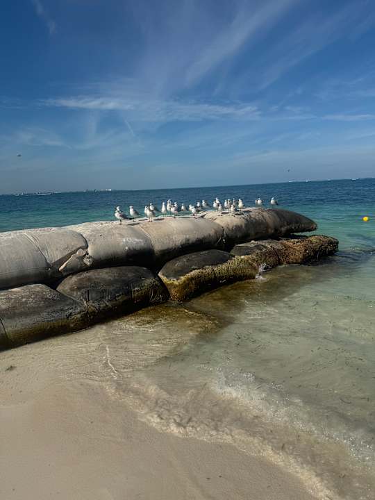 Strand Hotel Riu Caribe