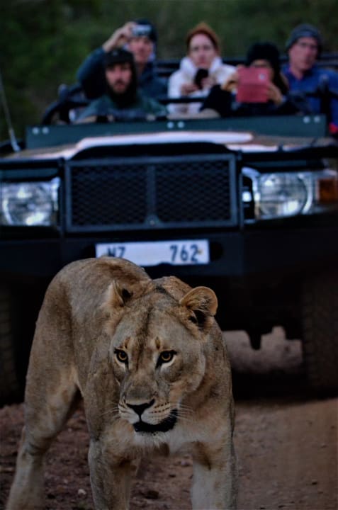 Sonstiges Leopard Mountain Safari Lodge