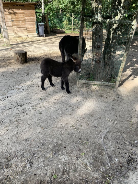 Sonstiges Campanile Val de France