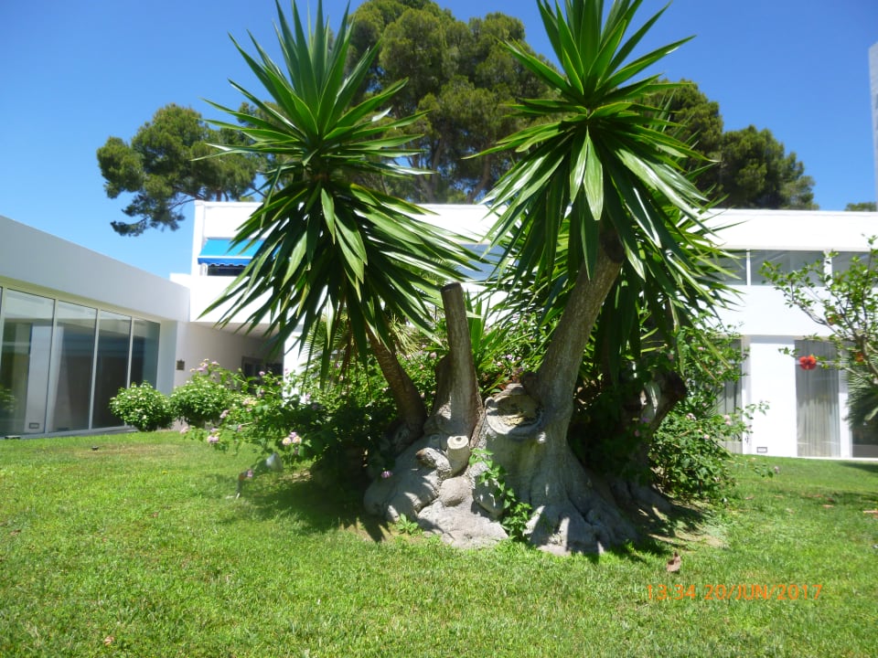 Gartenanlage Hipotels Eurotel Punta Rotja Golf & Spa