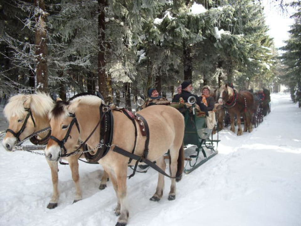 Schlittenfahrt Hotel Zur Pinge