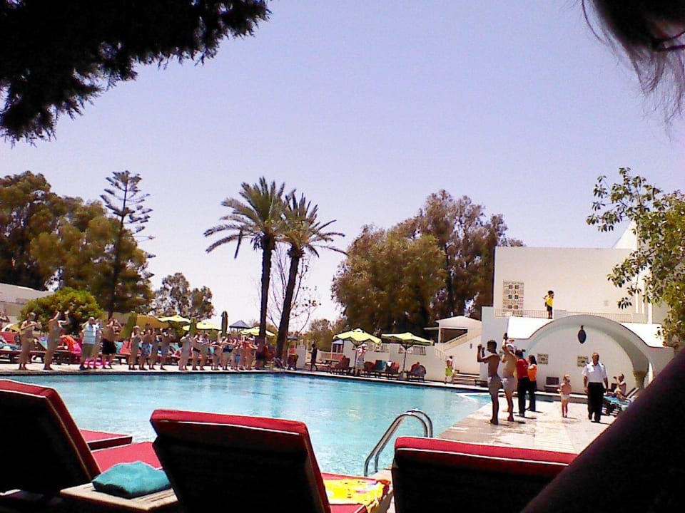 Animation team Apartment Les Oranetas