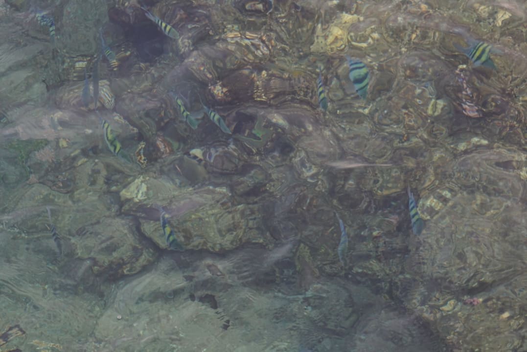 Strand Novotel Marsa Alam Beach Resort