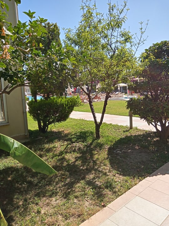 Gartenanlage Solivia Hotel