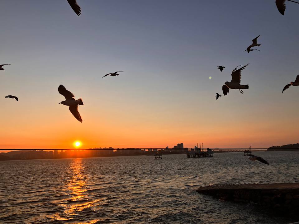 Ausblick Benikea The Bliss Hotel