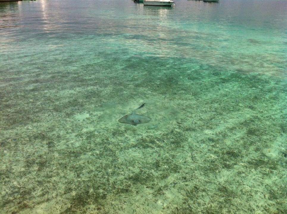 Rochen Baros Maldives Resort