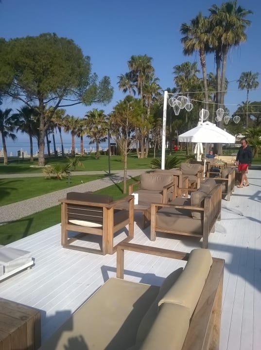 Gastro Acanthus Cennet Barut Collection