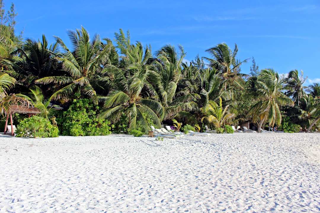 Jeder Bungi war hinter Palmen versteckt Summer Island Maldives