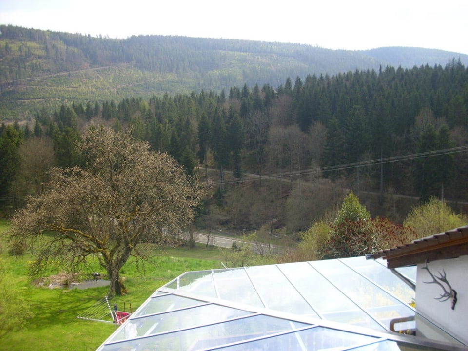 Von unserem Zimmer Schwarzwaldhotel-Gasthof Hirsch