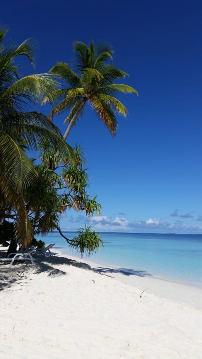 Strand vor Bungi 120 Angaga Island Resort