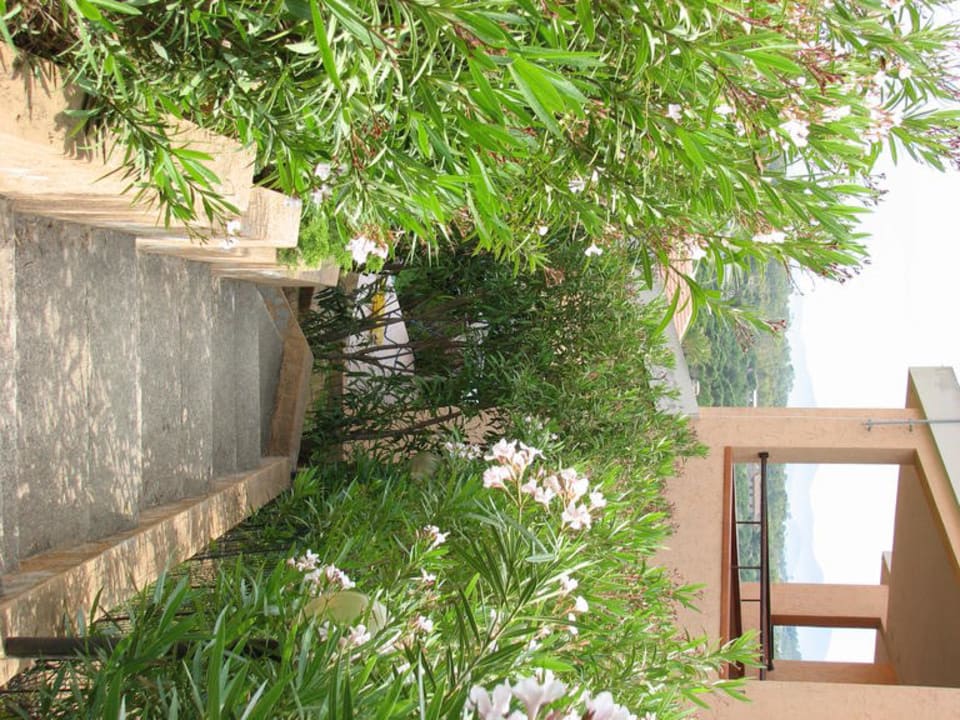 Wege in der Anlage Residence Porto Corallo