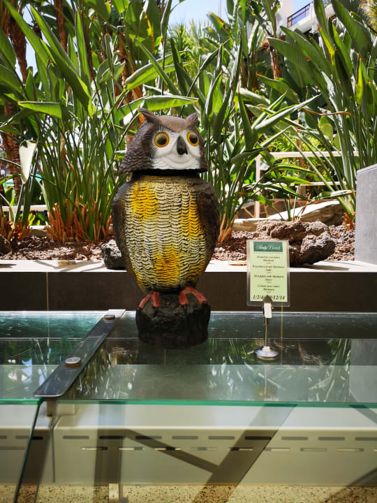 Gastro Seaside Hotel Sandy Beach