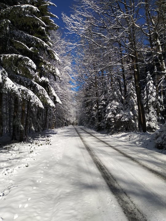 Sonstiges Hotel & Restaurant Köhlerhütte - Fürstenbrunn