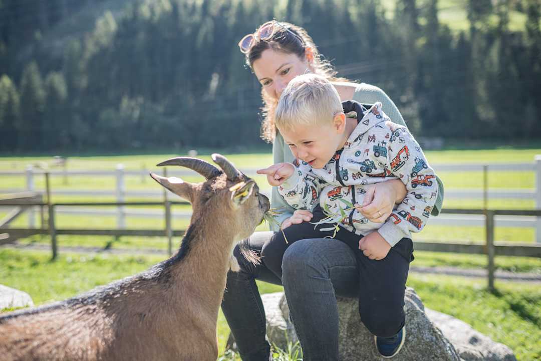 Gartenanlage Kinderhotel Felben