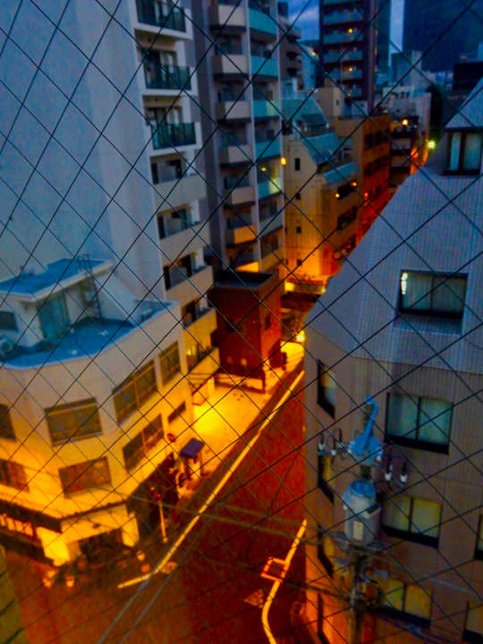 Ausblick Hotel Villa Fontaine Jimbocho