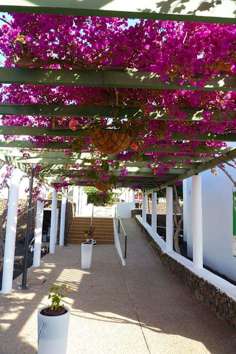 Weg vom Eingang zur Rezeption Apartamentos Guacimeta