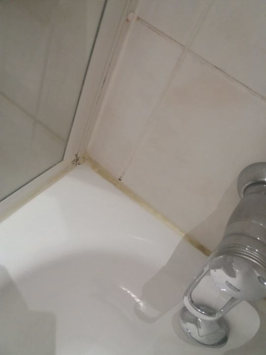 Zimmer Seehotel Schwanenhof