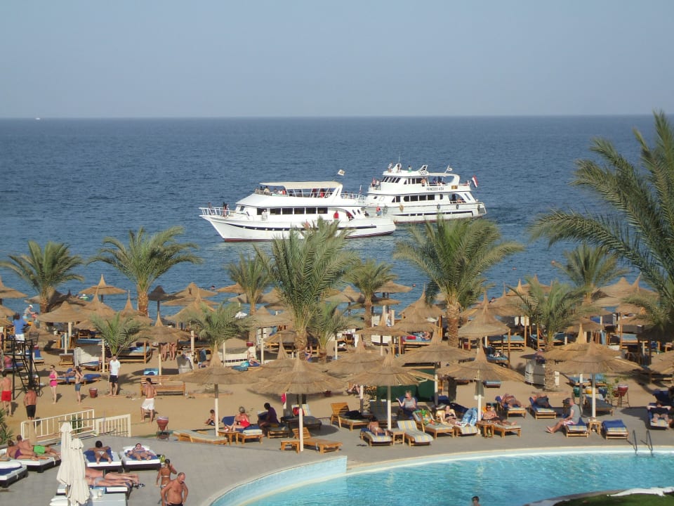 Pool, Strand, Meerblick. Beach Albatros Resort