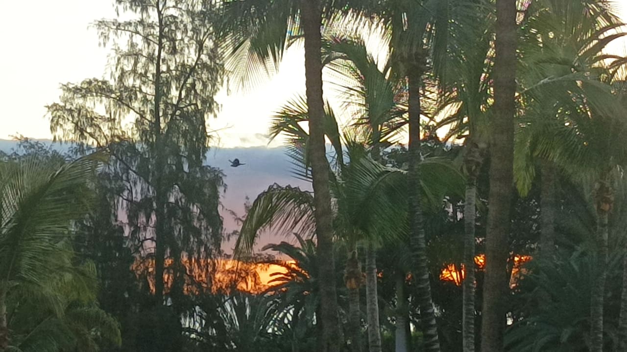 Ausblick Bull Costa Canaria & Spa - Adults only