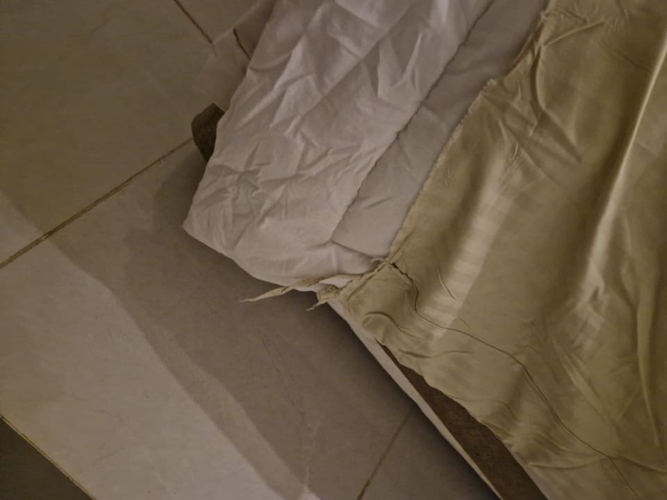 Zimmer The Grand Palace - Adults only