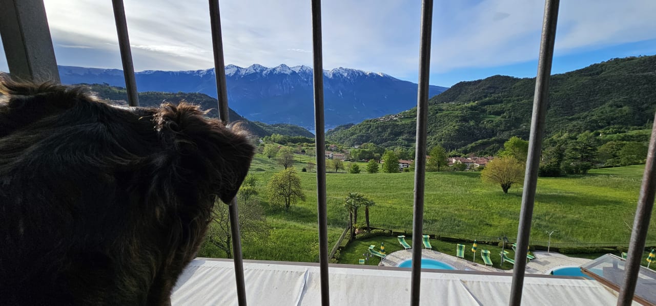Ausblick Hotel Sole & La Fenice