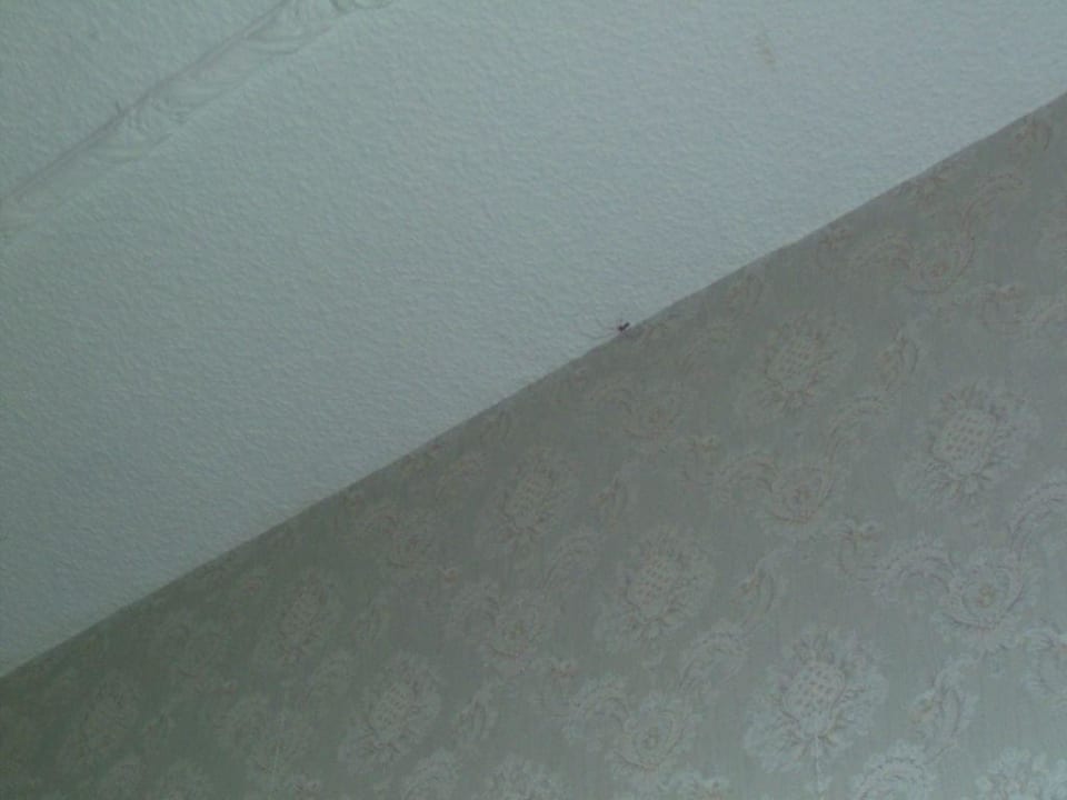 Candle-Light-Dinner Hotel Schöne Aussicht