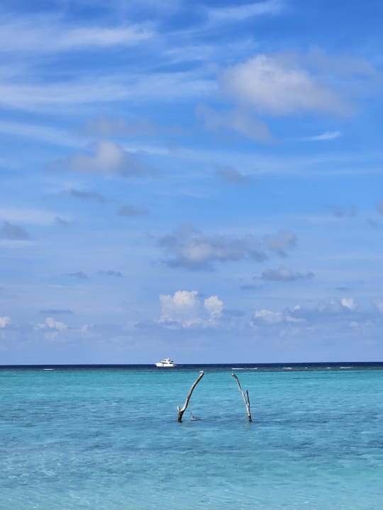 Strand Summer Island Maldives