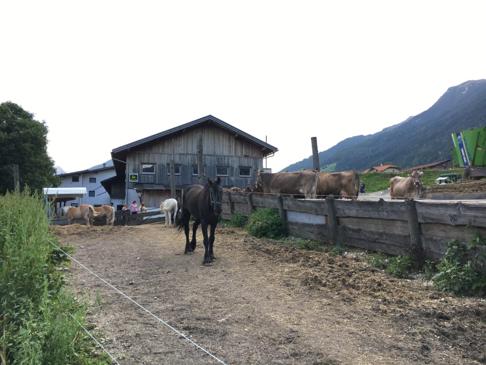 Gartenanlage Pension Grubenhof