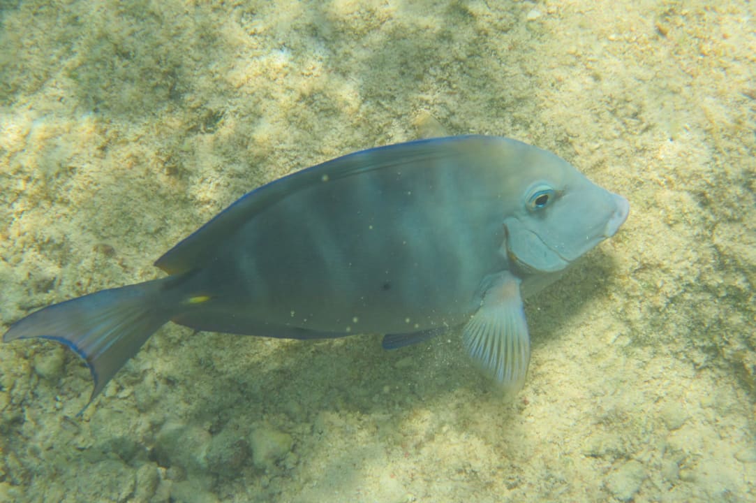 Sport & Freizeit Akumal Bay Beach & Wellness Resort