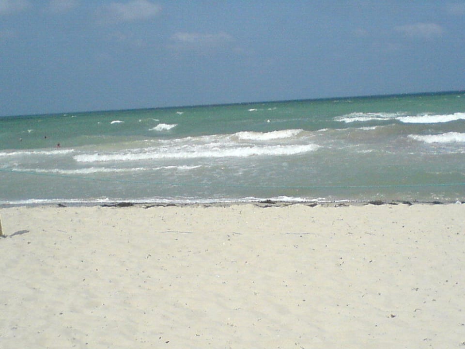 Aufgewühltes Meer mit Algen Djerba Aqua Resort