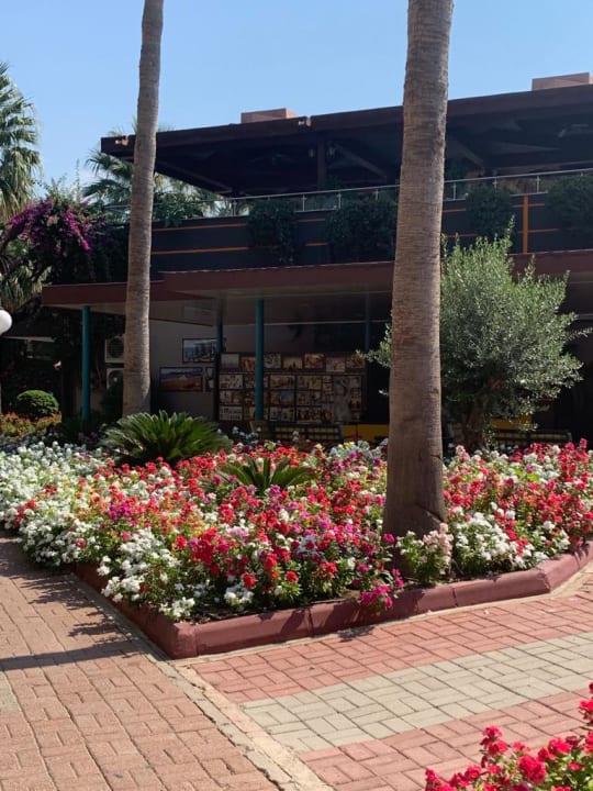 Gartenanlage VONRESORT Golden Coast