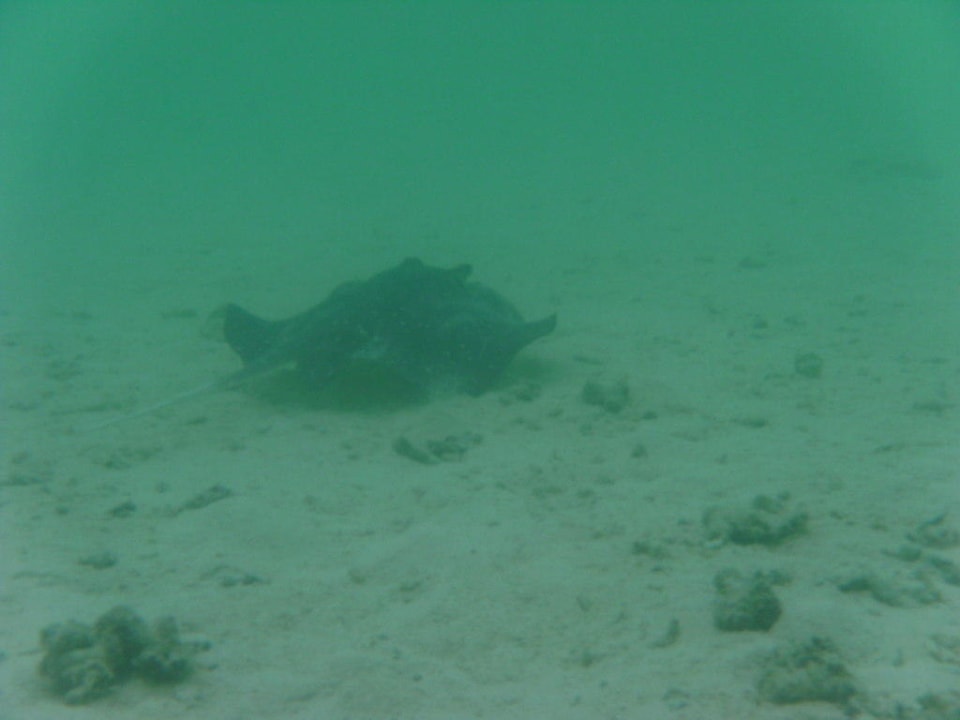 Adlerrochen Adaaran Select Hudhuran Fushi - Premium All Inclusive