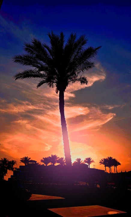 Ausblick Pickalbatros Dana Beach Resort - Hurghada