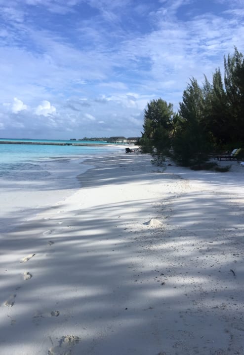 Strand Summer Island Maldives