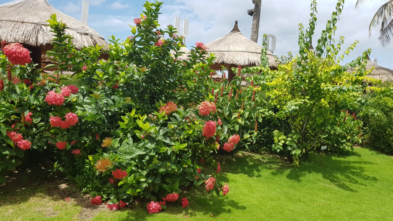 Gartenanlage Bamboo Village Beach Resort & Spa