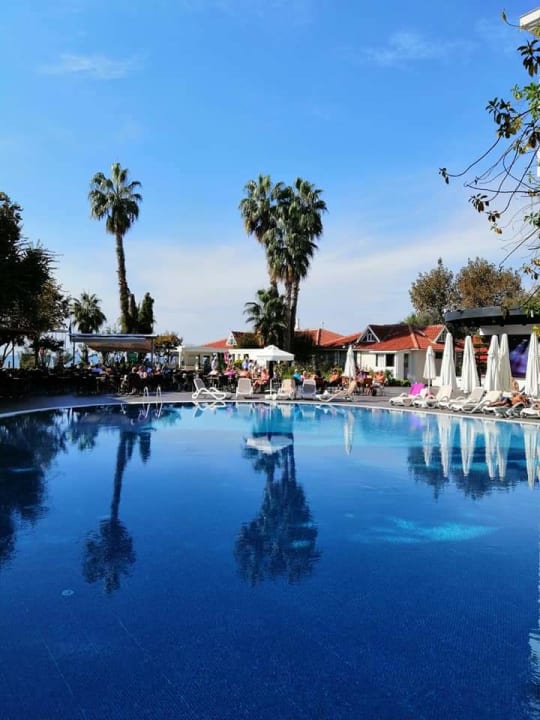 "Pool" Side Star Beach (Side) • HolidayCheck (Türkische Riviera | Türkei)